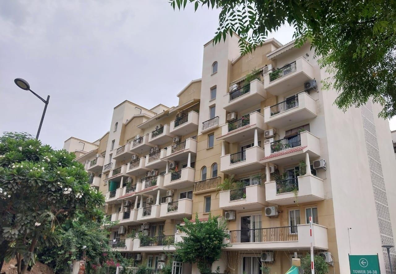 Emerald Floors Premier project photograph